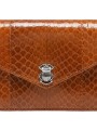PORTEFEUILLE ALEX LONG COBRA MIEL SCARABE ARGENT 4403 CLARIS VIROT femme wallet Strasbourg luxe créateur design bagagerie