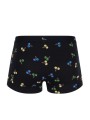 Pack boxer rayé vert noir fruits noir bande vert Paul Smith Homme M1A 914 W3PK93 1A boutique slips Strasbourg shop store arr1