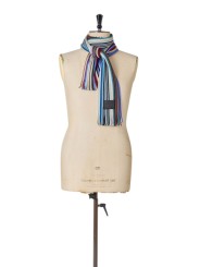 Echarpe fine rayée baya bleu jaune Paul Smith Homme M1A 151F T542 92A boutique Strasbourg accessoire store shop scarf porté