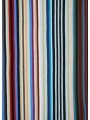 Echarpe fine rayée baya bleu jaune Paul Smith Homme M1A 151F T542 92A boutique Strasbourg accessoire store shop scarf zoom