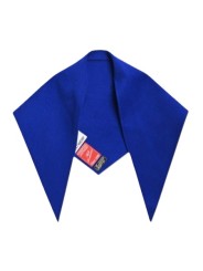 Châle bleu roi manteau KAAP II22 Essentiel Antwerp femme boutique Strasbourg mode shop col