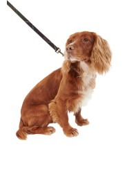 Laisse tartan Barbour Dog DAC 0009 TN11 boutique chien Strasbourg mode s