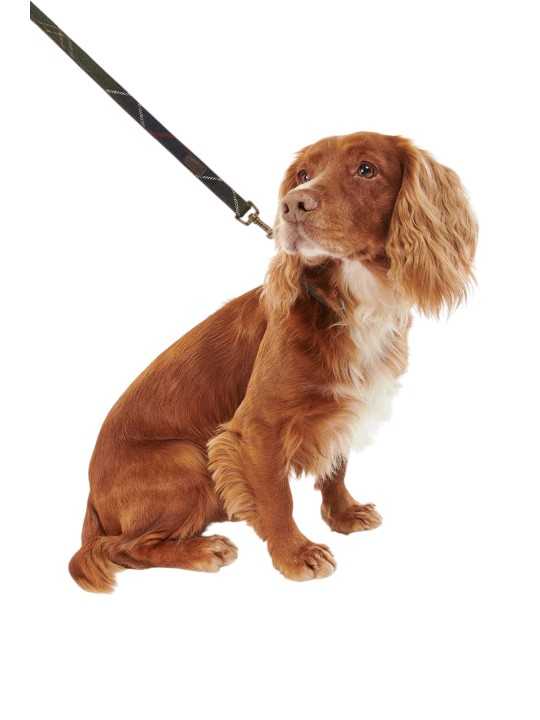 Laisse tartan Barbour Dog DAC 0009 TN11 boutique chien Strasbourg mode s